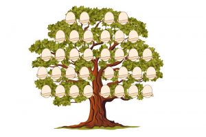 családfa ábra készítés